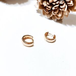 Minimalist hoop earrings in gol M80